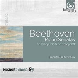 BEETHOVEN:PIANO SONATA NO.29&30/F.-F.GUY [A]