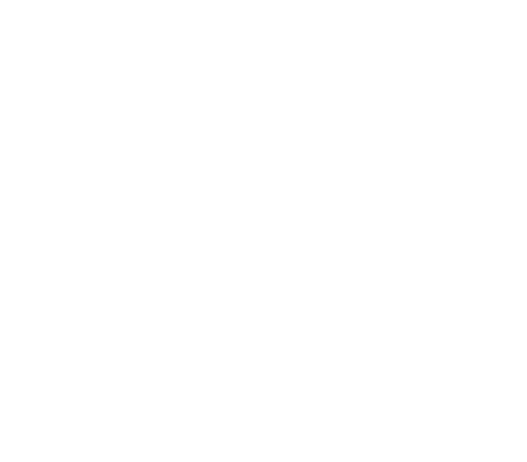 MAD TRIGGER CREW