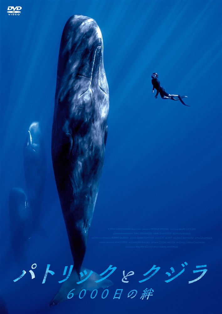 �p�g���b�N�ƃN�W�� 6000�����J