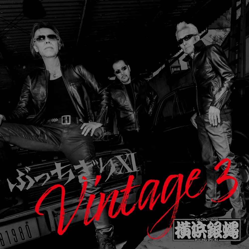 ぶっちぎりXI  Vintage 3　通常盤　CD only