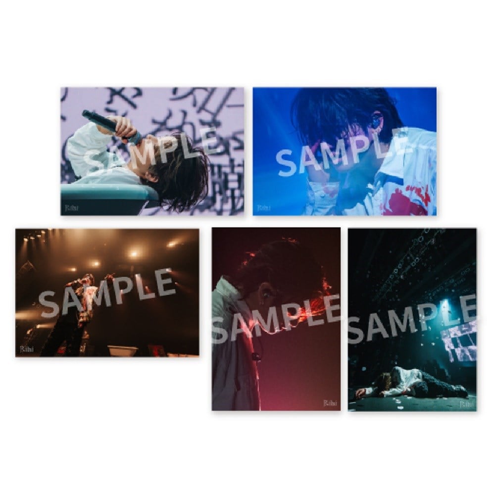 LIVE PHOTO ARCHIVE -27th-(5Zbg)