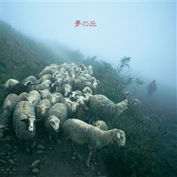 夢の丘［PROGRESSIVE ROCK LEGEND LP COLLECTION］【完全限定プレス盤】
