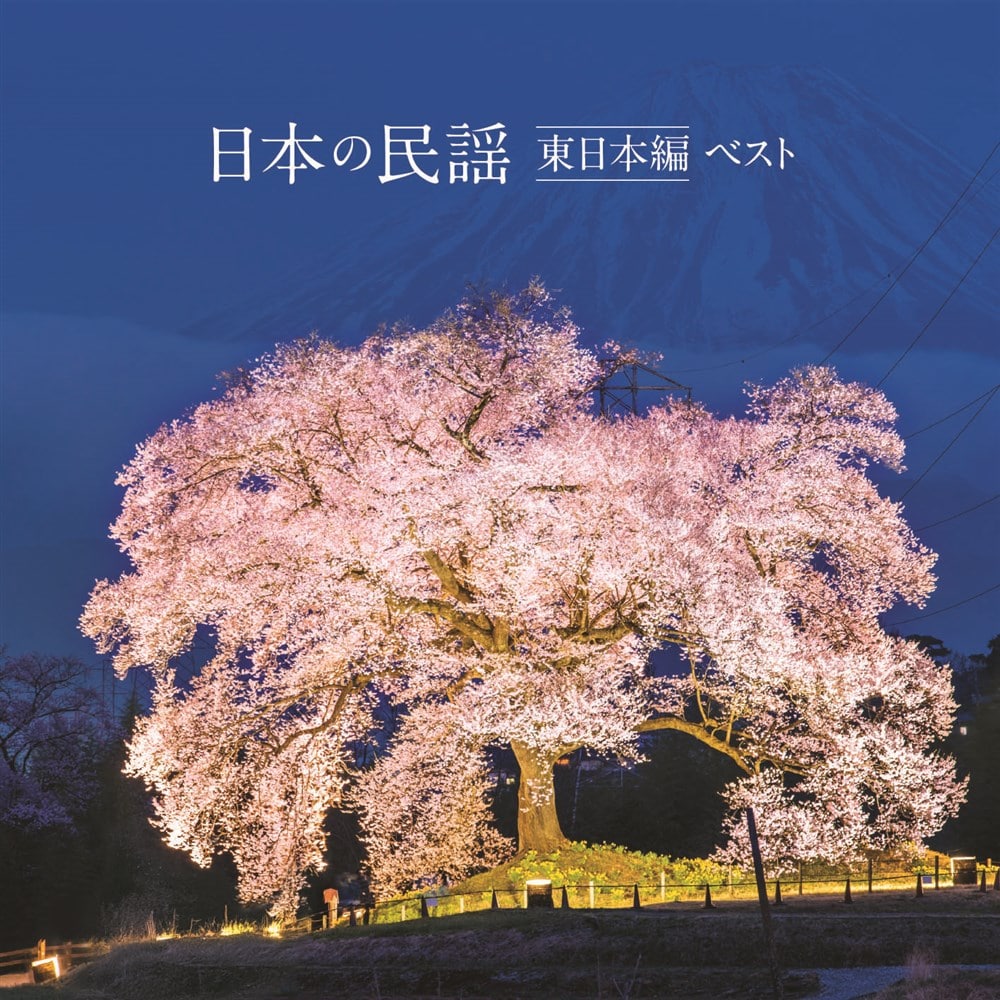 {̖w { xXg LOExXgEZNgECu[2025