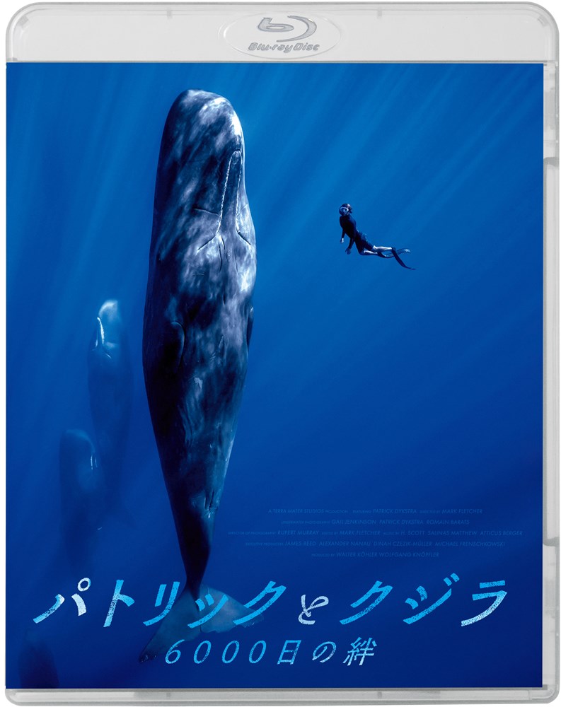 �p�g���b�N�ƃN�W�� 6000�����J