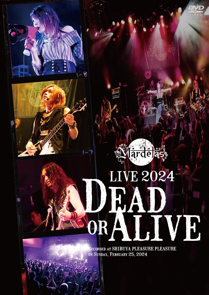 Live 2024 -Dead or Alive-DVDyʌŁz