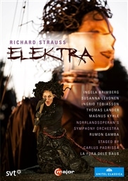 RICHARD STRAUSS ELEKTRA / staged by LA FURA DELS BAUS [DVD] [A]