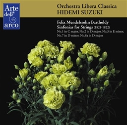メンデルスゾーン: 弦楽シンフォニアより 第1番、第2番、第3番、第7番、第8番-a (Felix Mendelssohn Bartholdy : Sinfonias for Strings (1821-1822) / Orchestra Libera Classica, Hidemi Suzuki)