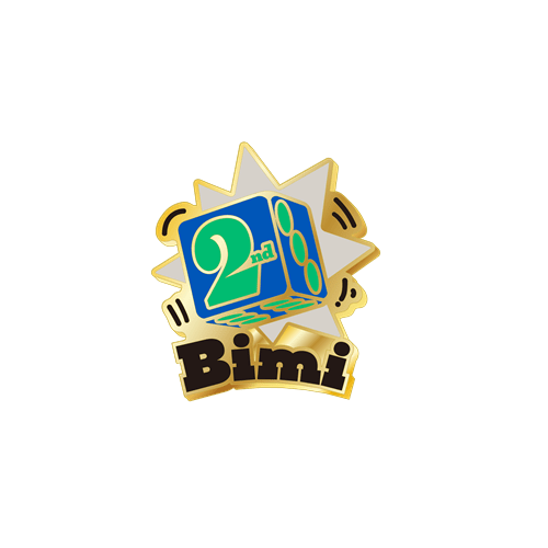 2nd ANNIVERSARY LIMITED PINS