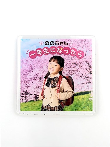 �̂̂����A�N�����}�O�l�b�g(���w)