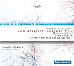 Zum Beispiel: wogende Aste nicolaus a. huber [A]