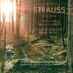 VgEX : W (Strauss : Don Juan | Death and Transfiguration | Till Eulenspiegel's Merry Pranks / Pittsburgh Symphony Orchestra , Manfred Honeck) [SACD Hybrid] [A]