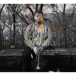 Adam O'Farrill / Stranger Days [輸入盤]